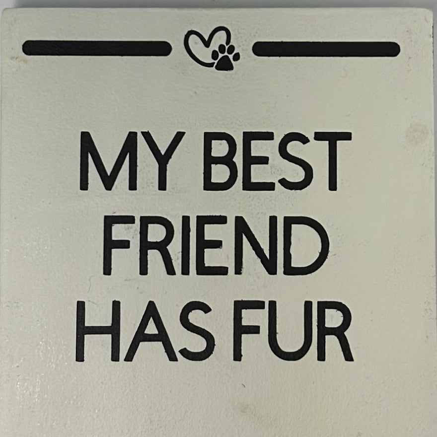 My Best Friend Has Fur