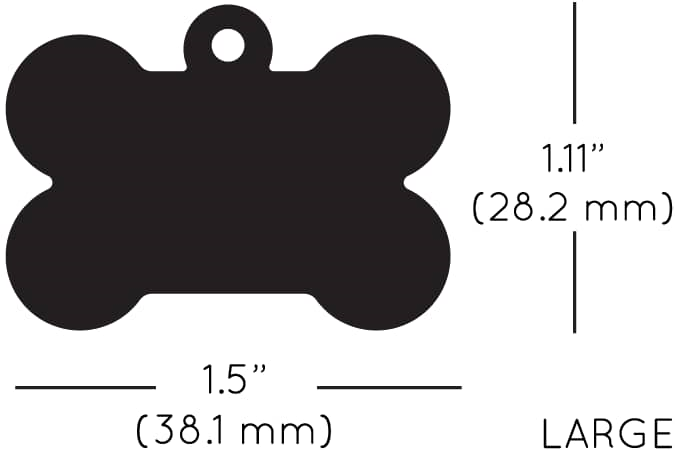 Large Scale