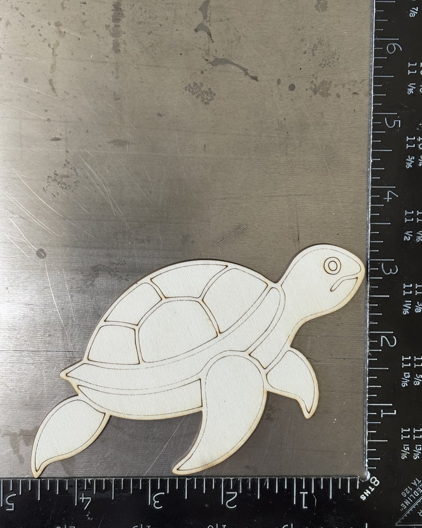 Turtle