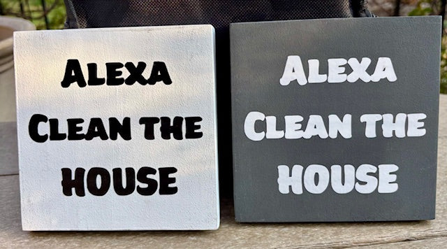 Alex Clean the House