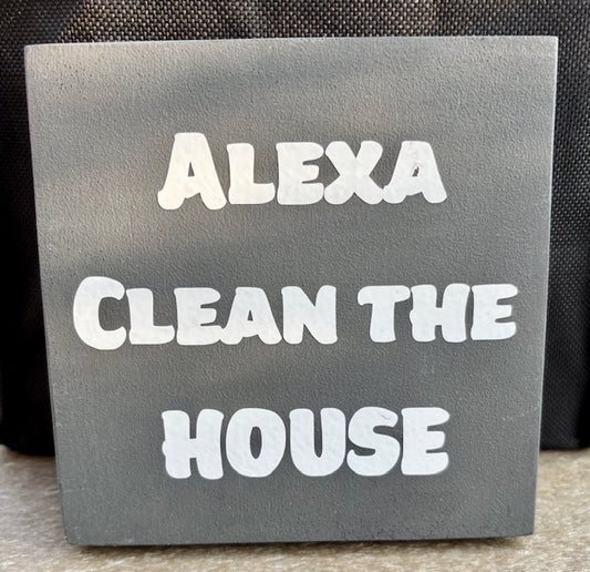 Alex Clean the House