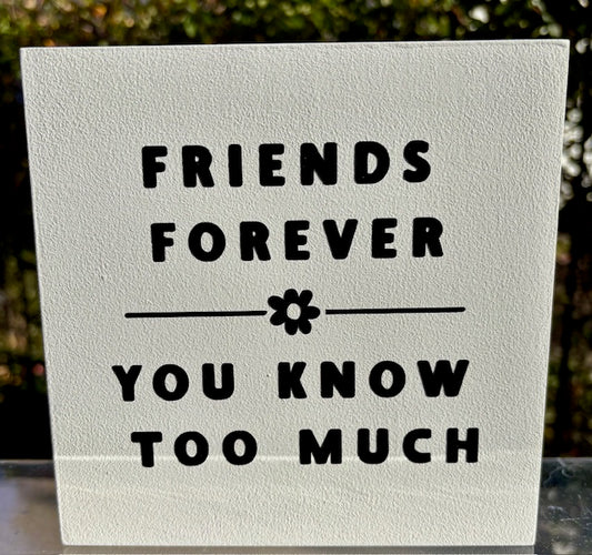 Friends Forever - You Know Too Much